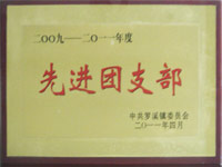 先进团支部